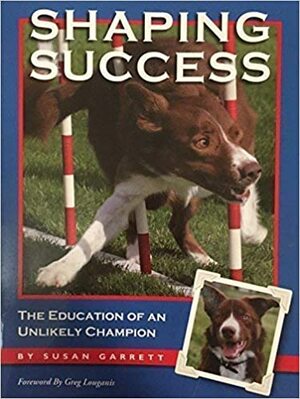 Shaping Success by Susan Garrett