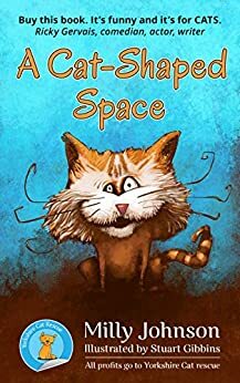 A Cat-Shaped Space by Milly Johnson