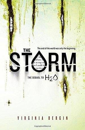 The Storm by Virginia Bergin by Virginia Bergin, Virginia Bergin