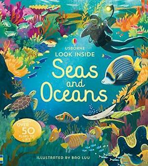 Look Inside Seas and Oceans by Megan Cullis