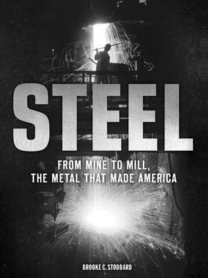 Steel by Brooke C. Stoddard