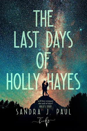 The Last Days of Holly Hayes. (Dylan's Story) by Sandra J. Paul