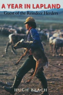 A Year in Lapland: Guest of the Reindeer Herders by Hugh Beach