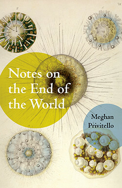 Notes on the End of the World by Meghan Privitello