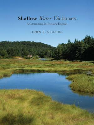 Shallow Water Dictionary by John R. Stilgoe