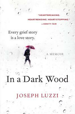 In a Dark Wood: A Memoir by Joseph Luzzi