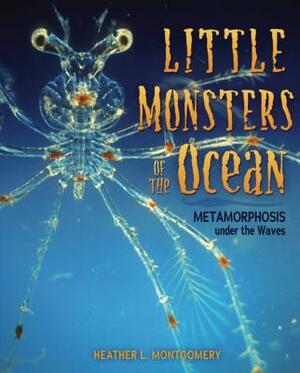 Little Monsters of the Ocean: Metamorphosis Under the Waves by Heather L Montgomery