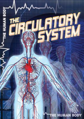 The Circulatory System by Autumn Leigh