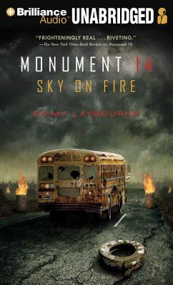 Sky on Fire by Emmy Laybourne
