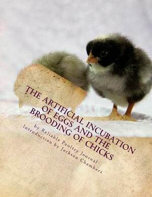 The Artificial Incubation of Eggs and the Brooding of Chicks by Reliable Poultry Journal