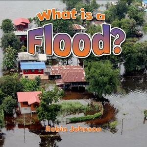 What Is a Flood? by Robin Johnson