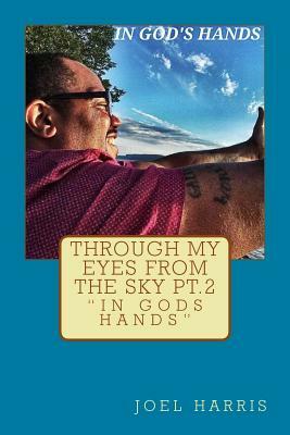"Through My Eyes From The Sky, Part 2; In God's Hands" by Joel Harris