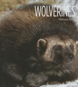 Wolverines by Melissa Gish