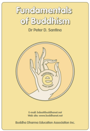 Fundamentals of Buddhism by Peter Della Santina