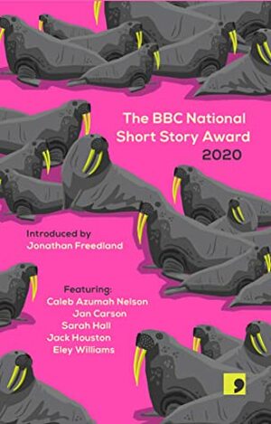 The BBC National Short Story Award 2020 by Sarah Hall, Eley Williams, Jack Houston, Caleb Azumah Nelson, Jan Carson