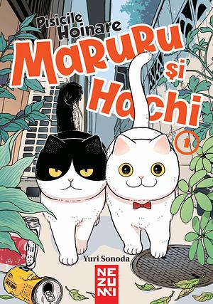 Pisicile Hoinare Maruru și Hachi  by Yuri Sonoda