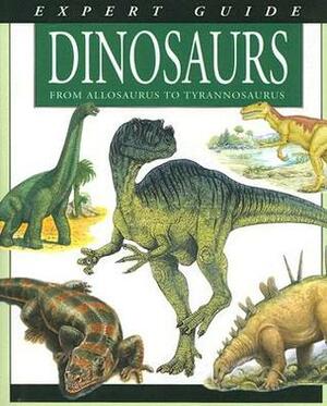 Expert Guide Dinosaurs: From Allosaurus to Tyrannosaurus by Gerrie McCall