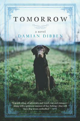 Tomorrow by Damian Dibben