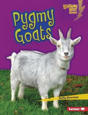 Pygmy Goats by Buffy Silverman