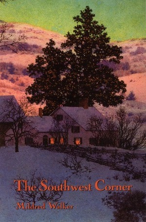 The Southwest Corner by Ripley Hugo, Mildred Walker