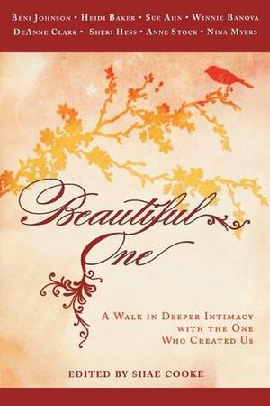 Beautiful One: A Walk In Deeper Intimacy with the One Who Created Us by Sue Ahn, Heidi Baker, Winnie Banov, Sheri Hess, Nina Myers, Beni Johnson, DeAnne Clark, Ann Stock