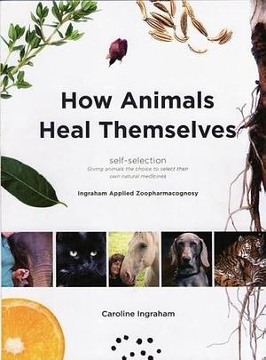 How Animals Heal Themselves: Self-selection : Self-selection : Giving Animals the Choice to Select Their Own Natural Medicines : Ingraham Applied Zoopharmacognosy by Caroline Ingraham