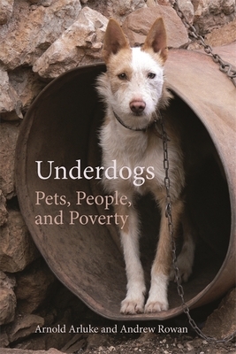 Underdogs: Pets, People, and Poverty by Arnold Arluke, Andrew Rowan