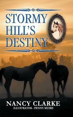 Stormy Hill's Destiny: Book 7 by Nancy Clarke