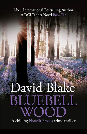 Bluebell Wood  by David Blake