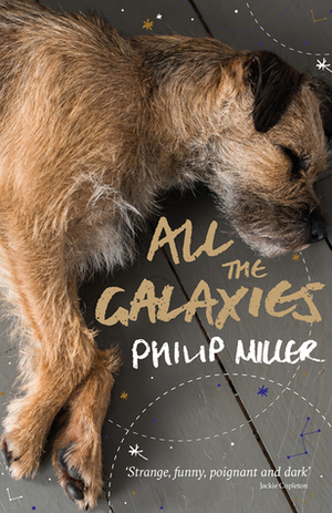 All The Galaxies by Philip Miller
