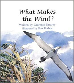 What Makes the Wind? by Laurence Santrey