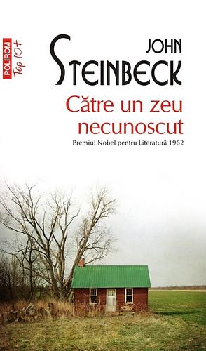 Către un zeu necunoscut by John Steinbeck