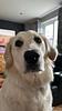 rebecca_thechronicreader's profile picture