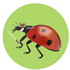 katybug25's profile picture