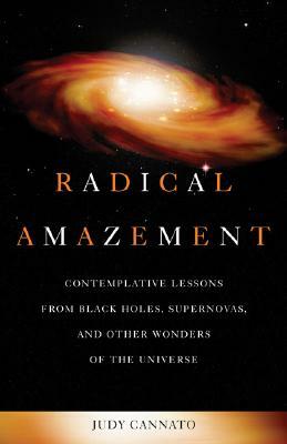 Radical Amazement by Judy Cannato