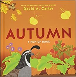 Autumn: A Pop-Up Book by David A. Carter