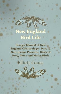 New England Bird Life - Being a Manual of New England Ornithology - Part II. Non-Oscine Passeres, Birds of Prey, Game and Water Birds by Elliott Coues