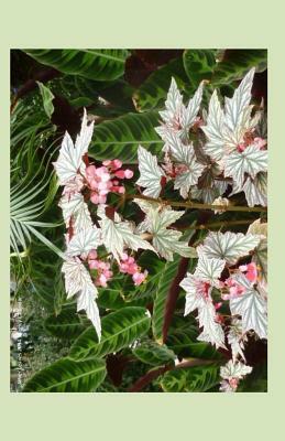 Silver Leaves 2014 Weekly Calendar: 2014 weekly calendar with a photo of silver leave and pink flowers against a dark foliage background by K. Rose