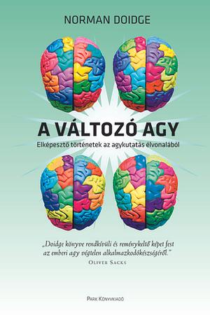 A változó agy: Elképesztő történetek az agykutatás élvonalából by Norman Doidge