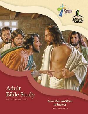Adult Bible Study (Nt4) by Concordia Publishing House