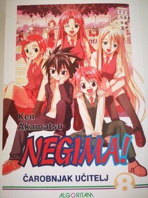 Negima! Čarobnjak učitelj 8 by Ken Akamatsu