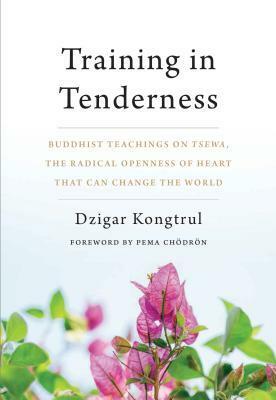 Training in Tenderness: Buddhist Teachings on Tsewa, the Radical Openness of Heart That Can Change the World by Dzigar Kongtrül III