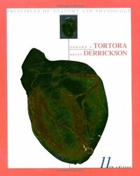 Principles of Anatomy and Physiology by Bryan H. Derrickson, Gerard J. Tortora