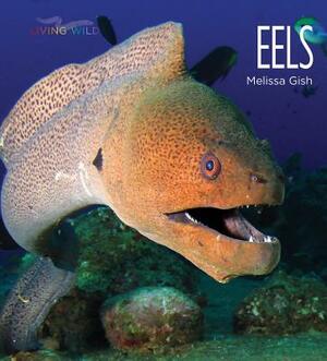 Eels by Melissa Gish