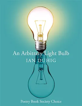 An Arbitrary Lightbulb by Ian Duhig