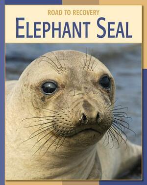 Elephant Seal by Susan H. Gray