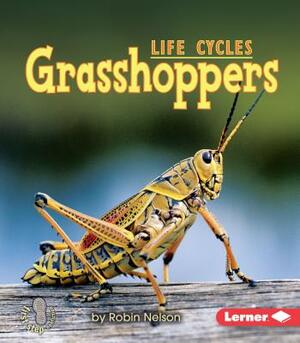 Grasshoppers by Robin Nelson