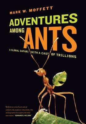 Adventures Among Ants: A Global Safari with a Cast of Trillions by Mark W. Moffett
