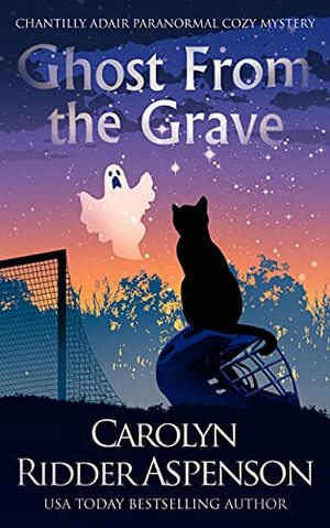 Ghost From the Grave by Carolyn Ridder Aspenson