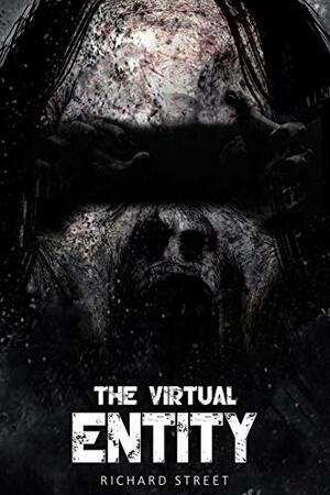 The Virtual Entity by Richard Street